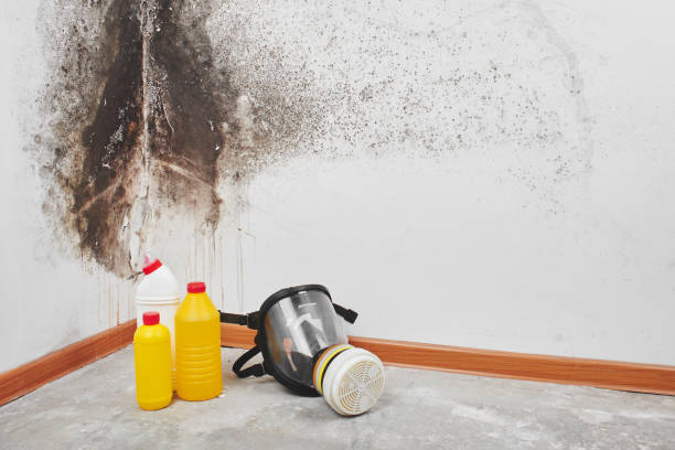 Best Office Mold Removal Services  in Inwood, WV