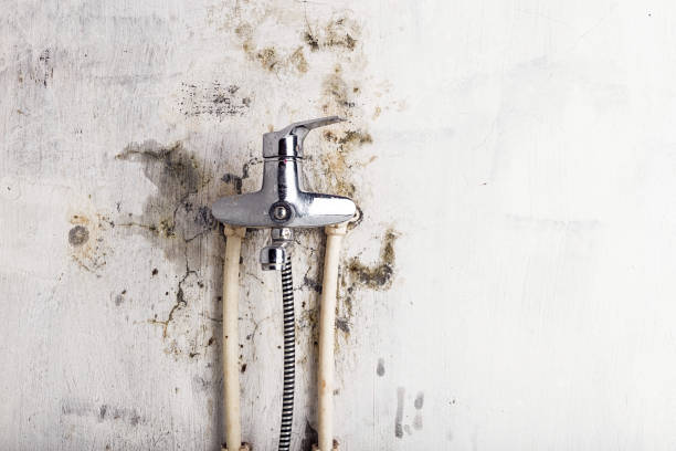 Best Emergency Mold Removal  in Inwood, WV