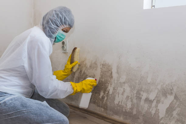 Best Crawl Space Mold Removal  in Inwood, WV