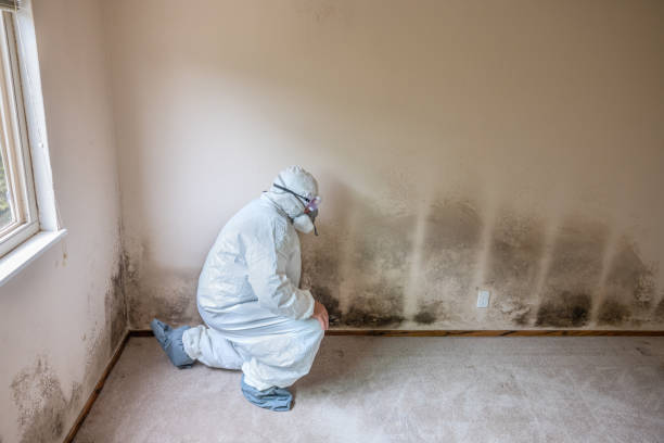 Best Crawl Space Mold Removal  in Inwood, WV